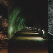 header_Anmeldung_1980